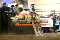 230203 Bulls & Barrels - Fri- Broncs