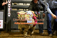 230204 Bulls & Barrels - Sat - Mutton Bustin