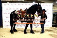 230218 R&J Horse Sale