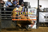 240203 Bulls & Barrels - Sat - Bulls